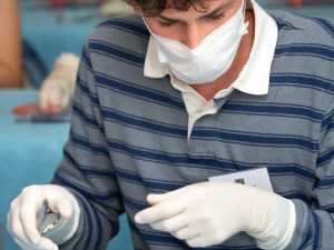 Studenti medicíny mají příležitost vyzkoušet své praktické dovednosti na čtyřnohých pacientech