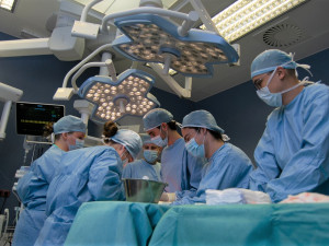 Studenti medicíny mají příležitost vyzkoušet své praktické dovednosti na čtyřnohých pacientech