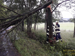 Přes Plzeňsko se večer přehnala bouřka, hasiči vyjíždějí k desítkám popadaných stromů