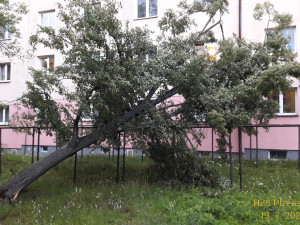 Přes Plzeňsko se večer přehnala bouřka, hasiči vyjíždějí k desítkám popadaných stromů
