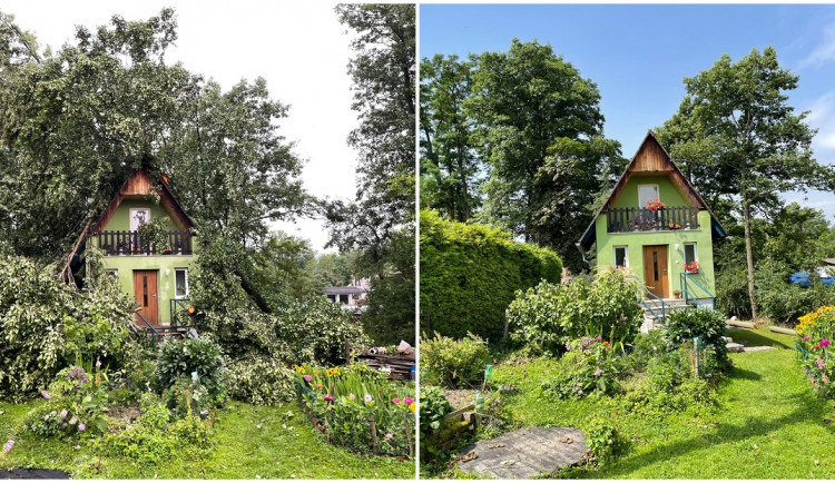 Následky řádění vichřice v Seči a aktuální stav