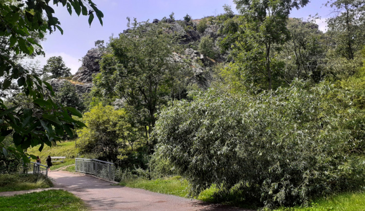 Kam o víkendu? Šárecké údolí nabízí vzácné druhy motýlů i unikátní koupaliště