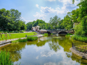 Péče o zeleň stojí město Plzeň ročně 60 milionů, jen v ulicích roste 18 tisíc stromů