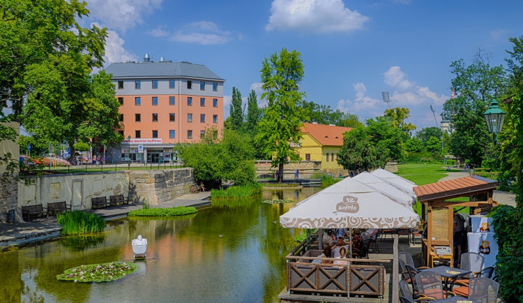 Péče o zeleň stojí město Plzeň ročně 60 milionů, jen v ulicích roste 18 tisíc stromů