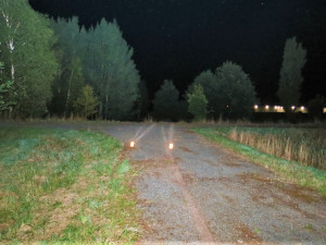 Při úprku před policejní hlídkou neváhal zdrogovaný řidič prorazit plot, ve finále stejně havaroval