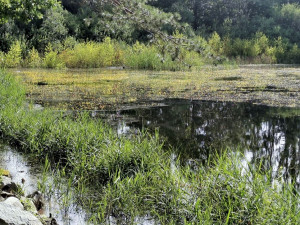 221354848_4030139663769141_5959988351706406767_n