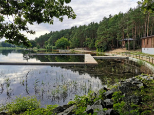 Hladina Seneckého rybníka kvete vzácnými žlutými květy bublinatek, jde o český unikát