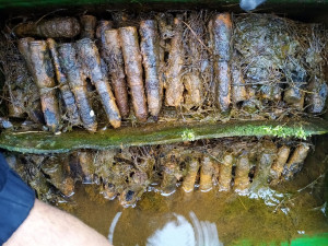 Muž si z lesa odnesl domů v přepravce skoro 400 rezavých nábojů