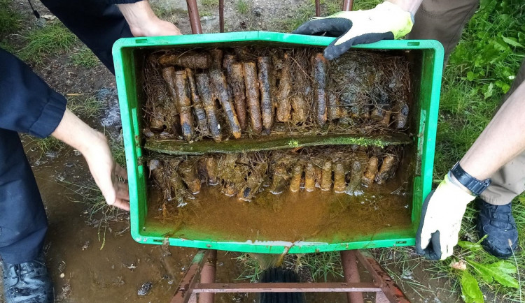 Muž si z lesa odnesl domů v přepravce skoro 400 rezavých nábojů