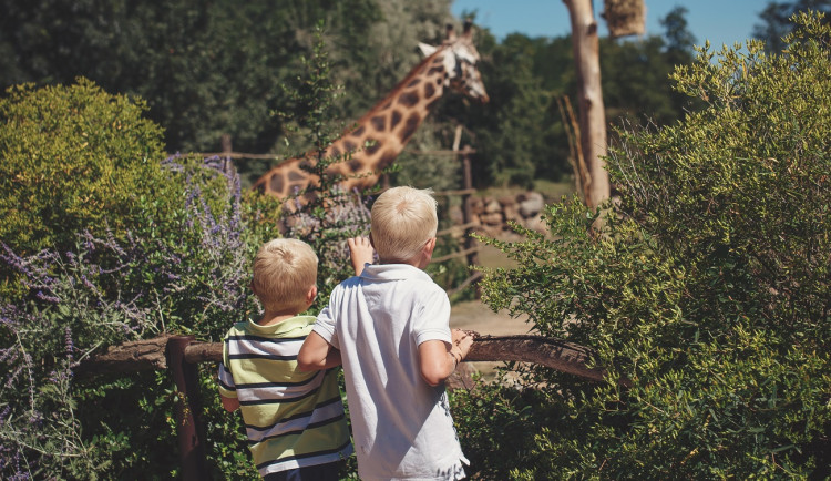 ZOO Plzeň, foto: Visit Pilsen