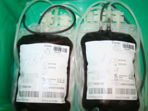 Vlakové neštěstí vzbudilo zájem o darování krve, transfuzní stanice hlásí rekordní čísla