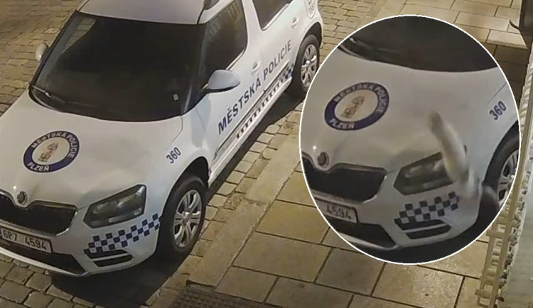 Kočka zdemolovala kapotu policejního vozu, usvědčily ji kamerové záznamy