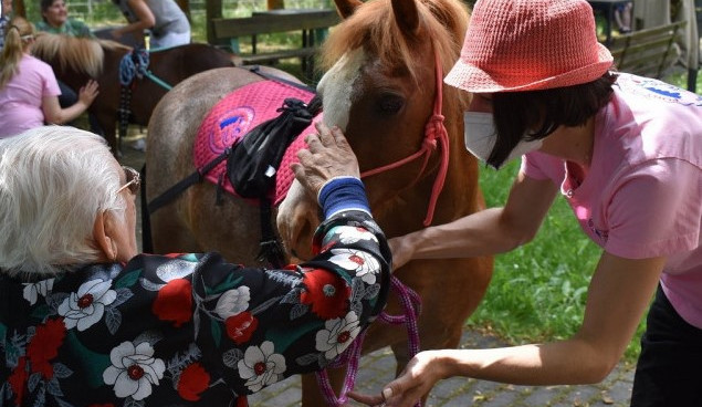 Speciálně cvičení poníci rozdávají radost kamkoli vejdou, tato forma terapie je u nás na vzestupu