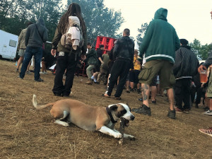 Technaři vypnuli soundystémy na freetekno party pod hradem Klenová podle dohody v 15.00 hodin