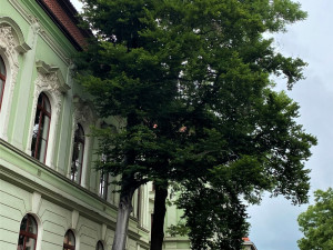 foto: místostarosta Rokycan Jan Šašek