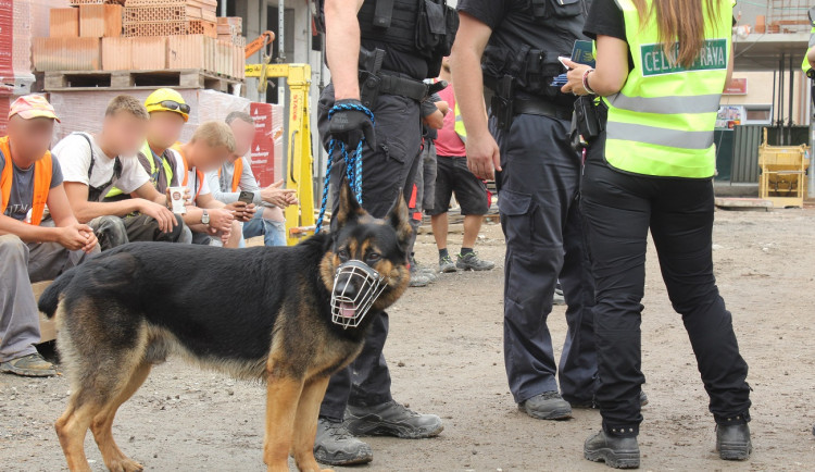 Celníci odhalili stovky zahraničních pracovníků porušujících zákon, nejvíce jich bylo v Plzeňském kraji