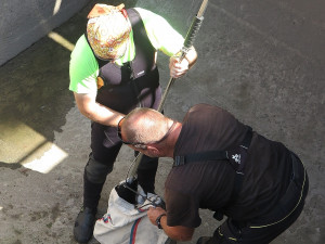 Bobr zůstal uvězněný v prázdné nádrži na dešťovou vodu, pomohli mu záchranáři