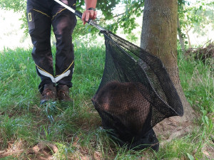 Bobr zůstal uvězněný v prázdné nádrži na dešťovou vodu, pomohli mu záchranáři