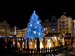 Letní prázdniny ještě neskončily a město už hledá vánoční strom