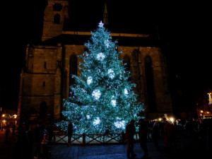 Letní prázdniny ještě neskončily a město už hledá vánoční strom na náměstí