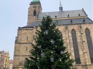 Letní prázdniny ještě neskončily a město už hledá vánoční strom na náměstí