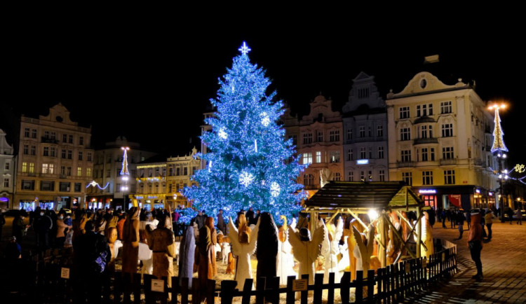 Loňský vánoční strom na náměstí v Plzni