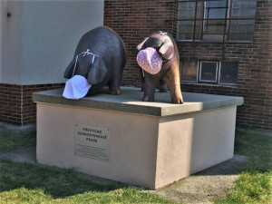 V březnu 2020 navléklo sousoší přeštických prasat maxi roušky.