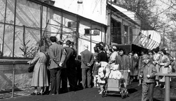 Návštěvníci u pavilonu opic v Doudlevcích, foto: archiv ZOO Plzeň /Stanislav Holubec