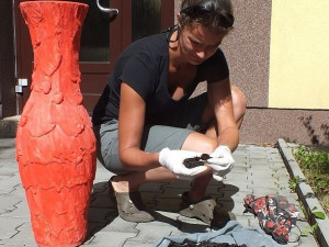 Neopatrní obyvatelé Plzně se i letos potýkají se stovkami netopýrů, kteří jim při větrání nalétají do bytů a domů