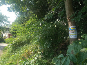 Soutěžní letáky s QR kódem jsou většinou umístěny na stromech nebo sloupech veřejného osvětlení.