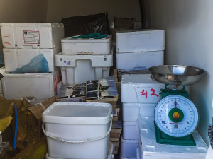 Vietnamec převážel v dodávce 200 kilo hnijících mořských plodů a živých krabů