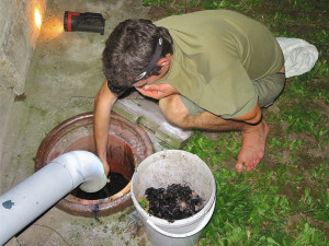 Záchranáři likvidovali následky netopýřího masakru, zákrok jen pro otrlé jedince