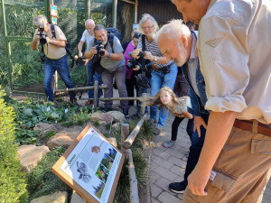 Plzeňská zoo představila myšici Cimrmanovu, jejím patronem není nikdo jiný než Zdeněk Svěrák