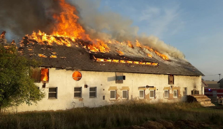 244269709_10219018323479285_1024918701674813869_n (1)