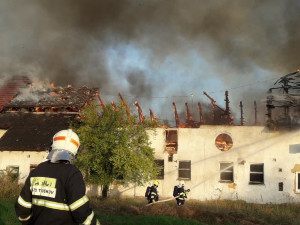 243841644_6862284620464115_1311475852454063733_n