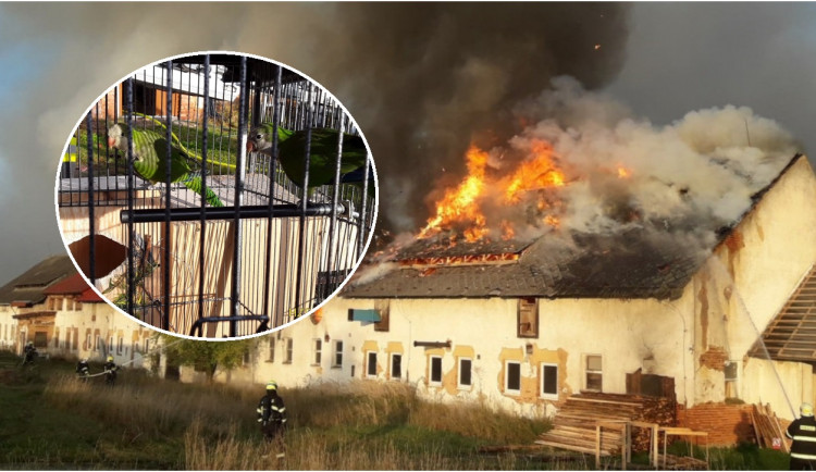 S rozsáhlým požárem výrobny briket bojovalo 14 jednotek hasičů, z hořícího objektu zachránili čtyři papoušky