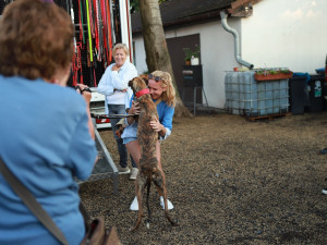 Setkání s novými páníčky bývají velmi dojemná, foto: Lenka Pokorná