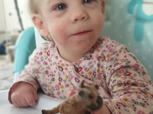 Dvouletá Pavlínka trpí syndromem, který nelze léčit. Přesto se rodiče snaží, aby byla jednou soběstačná