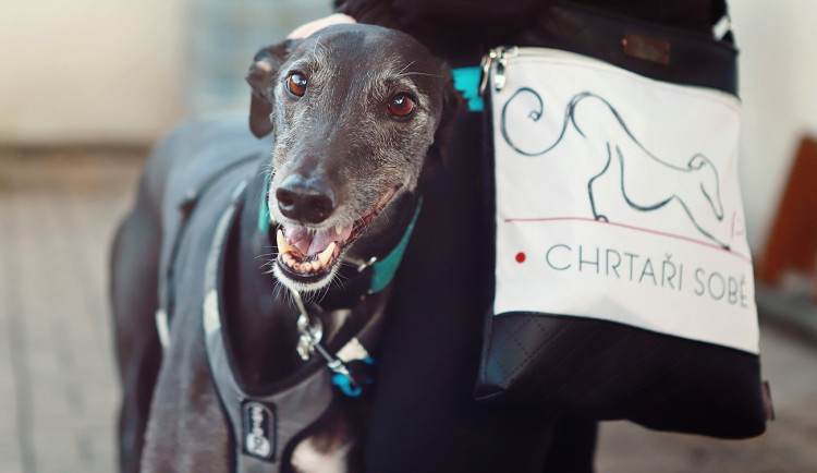 foto: Lenka Pokorná