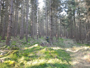 foto: SDH Horšovský Týn