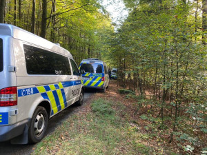 Julii se stále nepodařilo najít, nad Domažlickem létají policejní vrtulníky