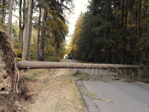 Silný vítr trápí hlavně Domažlicko a Klatovsko, hasiči mají na kontě desítky výjezdů