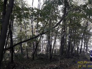 Silný vítr trápí hlavně Domažlicko a Klatovsko, hasiči mají na kontě desítky výjezdů