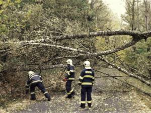 Vichřice s plnou silou udeřila i na Plzeňský kraj, hasiči mají na kontě desítky výjezdů