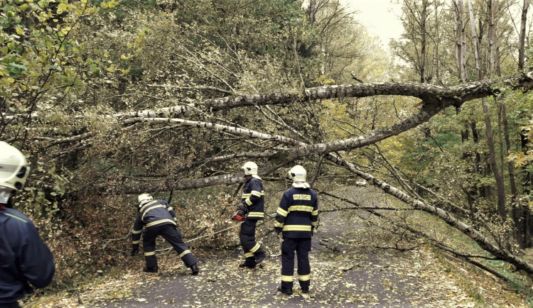 Silný vítr trápí hlavně Domažlicko a Klatovsko, hasiči mají na kontě desítky výjezdů