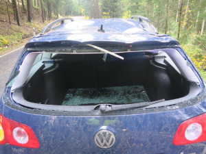 Zlomený smrk se zřítil na projíždějící auto, vichřice si celkem vyžádala 351 výjezdů hasičů