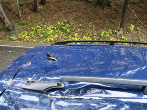 Zlomený smrk se zřítil na projíždějící auto, vichřice si celkem vyžádala 351 výjezdů hasičů