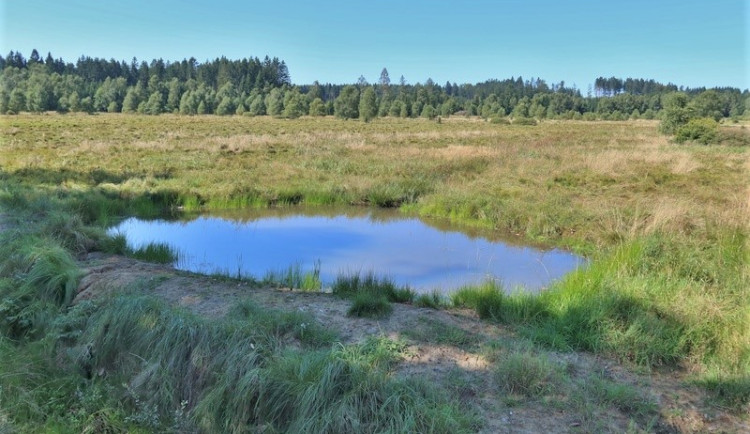 Zadržet vodu v krajině pomáhají nově budované tůně, přes 40 jich vzniklo v Brdech