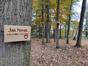 Ústřední hřbitov nabízí pozůstalým nový způsob pohřbívání, popel uloží ke kořenům stromu