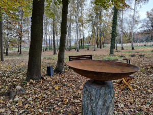 Ústřední hřbitov nabízí pozůstalým nový způsob pohřbívání, popel uloží ke kořenům stromu